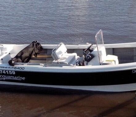 Aquamarine 6,40 2015 con motor evinrude 90 etec.